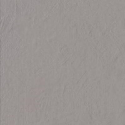 Elephant Skin