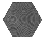 Arbre Grey