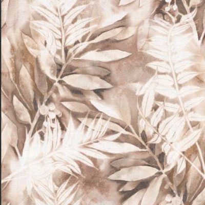 Fern
